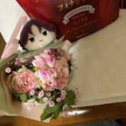 ヒメ日記 2025/06/15 11:12 投稿 ふうか 人妻小旅行