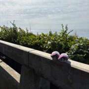 ヒメ日記 2025/10/21 10:57 投稿 ふうか 人妻小旅行