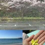 ヒメ日記 2026/04/08 13:45 投稿 ふうか 人妻小旅行