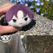 ヒメ日記 2026/04/17 09:55 投稿 ふうか 人妻小旅行