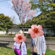 ヒメ日記 2026/10/02 10:45 投稿 ふうか 人妻小旅行