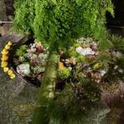 ヒメ日記 2025/01/17 10:05 投稿 広末 おふくろ