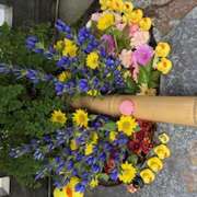 ヒメ日記 2025/10/04 07:11 投稿 広末 おふくろ