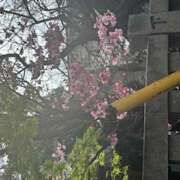 ヒメ日記 2026/03/24 11:52 投稿 広末 おふくろ