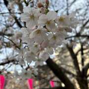 ヒメ日記 2025/04/10 13:01 投稿 まなか 新小岩デリヘル ラブセレクション