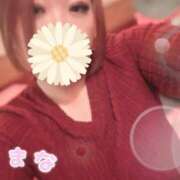 ヒメ日記 2025/01/29 11:44 投稿 麻菜（まな） ビッグバード