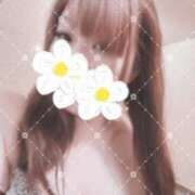 ヒメ日記 2025/03/15 12:06 投稿 麻菜（まな） ビッグバード