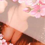 ヒメ日記 2025/03/19 11:24 投稿 麻菜（まな） ビッグバード