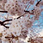 ヒメ日記 2025/04/09 11:24 投稿 麻菜（まな） ビッグバード