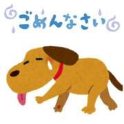 ヒメ日記 2025/08/05 08:54 投稿 麻菜（まな） ビッグバード