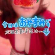 ヒメ日記 2026/01/27 07:14 投稿 麻菜（まな） ビッグバード