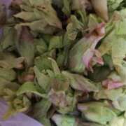 ヒメ日記 2025/04/03 17:58 投稿 神崎りょう 五十路マダム金沢店