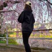 ヒメ日記 2025/04/10 08:28 投稿 神崎りょう 五十路マダム金沢店