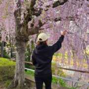 ヒメ日記 2025/04/14 06:20 投稿 神崎りょう 五十路マダム金沢店