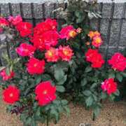 ヒメ日記 2025/05/21 07:04 投稿 神崎りょう 五十路マダム金沢店