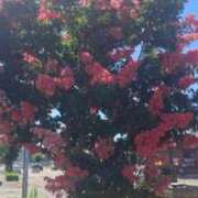 ヒメ日記 2025/07/27 05:48 投稿 神崎りょう 五十路マダム金沢店