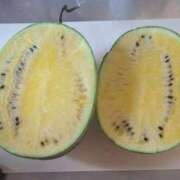 ヒメ日記 2025/08/24 19:12 投稿 神崎りょう 五十路マダム金沢店