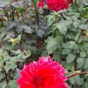 ヒメ日記 2025/10/07 13:10 投稿 神崎りょう 五十路マダム金沢店