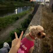 ヒメ日記 2025/10/18 06:26 投稿 神崎りょう 五十路マダム金沢店