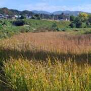 ヒメ日記 2025/11/22 18:12 投稿 神崎りょう 五十路マダム金沢店