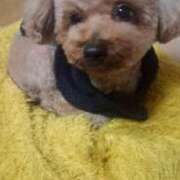 ヒメ日記 2026/01/11 11:44 投稿 神崎りょう 五十路マダム金沢店