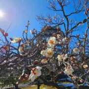 ヒメ日記 2026/02/24 08:04 投稿 神崎りょう 五十路マダム金沢店