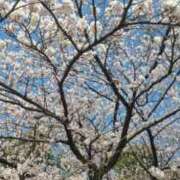 神崎りょう お久しぶりです? 五十路マダム金沢店