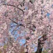 ヒメ日記 2026/04/16 16:28 投稿 神崎りょう 五十路マダム金沢店