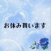 ヒメ日記 2024/02/15 08:32 投稿 ゆじゅ ぽちゃぶらんか金沢店（カサブランカグループ）