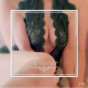 ヒメ日記 2026/02/19 10:02 投稿 椎名すみれ(しいなすみれ) 五十路マダムエクスプレス厚木店(カサブランカグループ)