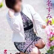 ヒメ日記 2026/02/24 20:02 投稿 椎名すみれ(しいなすみれ) 五十路マダムエクスプレス厚木店(カサブランカグループ)