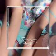 ヒメ日記 2026/04/21 10:04 投稿 椎名すみれ(しいなすみれ) 五十路マダムエクスプレス厚木店(カサブランカグループ)