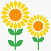 ヒメ日記 2024/12/21 21:42 投稿 成瀬まや 禁断のメンズエステR-18堺・南大阪店