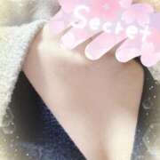 ヒメ日記 2025/03/08 13:31 投稿 まゆ Felice(フェリス)