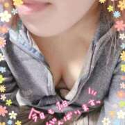 ヒメ日記 2025/03/18 16:21 投稿 まゆ Felice(フェリス)