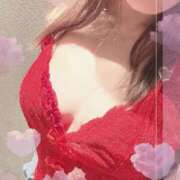 ヒメ日記 2026/02/15 09:50 投稿 まゆ Felice(フェリス)