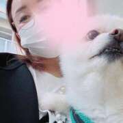 ヒメ日記 2025/04/11 22:57 投稿 国仲紗花 プレジデントハウス