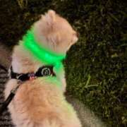 ヒメ日記 2025/06/21 21:01 投稿 国仲紗花 プレジデントハウス