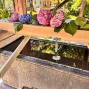 ヒメ日記 2025/07/03 06:45 投稿 国仲紗花 プレジデントハウス