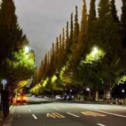 ヒメ日記 2025/11/08 23:37 投稿 国仲紗花 プレジデントハウス