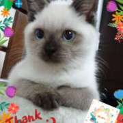 ヒメ日記 2025/06/29 07:46 投稿 あず MOISTLIP