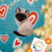 ヒメ日記 2025/07/03 08:16 投稿 あず MOISTLIP