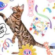 ヒメ日記 2025/08/03 00:42 投稿 あず MOISTLIP