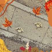 ヒメ日記 2025/11/22 08:33 投稿 あず MOISTLIP