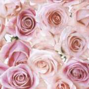 ヒメ日記 2026/04/10 21:50 投稿 まりあ 奥鉄オクテツ和歌山