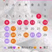 ヒメ日記 2024/12/14 11:32 投稿 永峰らら 11チャンネル