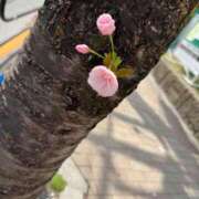 ヒメ日記 2025/04/07 19:05 投稿 永峰らら 11チャンネル