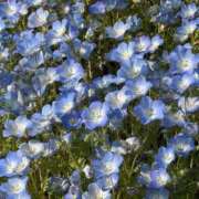 ヒメ日記 2025/05/05 06:26 投稿 永峰らら 11チャンネル