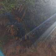 ヒメ日記 2025/05/21 12:01 投稿 かなみ 尼崎人妻援護会