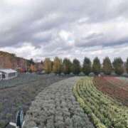 ヒメ日記 2025/11/10 19:31 投稿 かなみ 尼崎人妻援護会